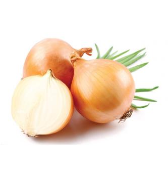 ČEBULA RJAVA (kg)