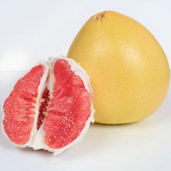 Pomelo (kos)