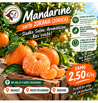 Mandarine (kg)