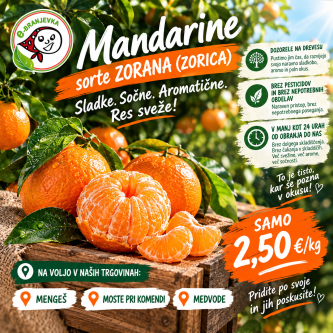 Mandarine (kg)