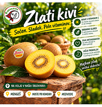 Kivi Sungold (kg)
