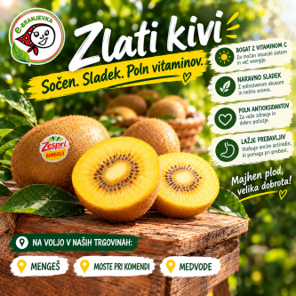 Kivi Sungold (kg)
