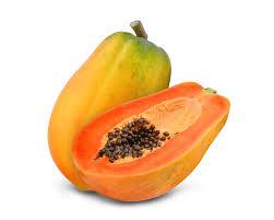Papaja (kos)