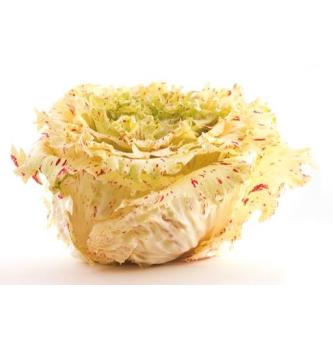RADIČ CASTELFRANCO (kg)