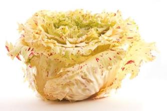 RADIČ CASTELFRANCO (kg)