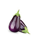 JAJČEVEC (kg)