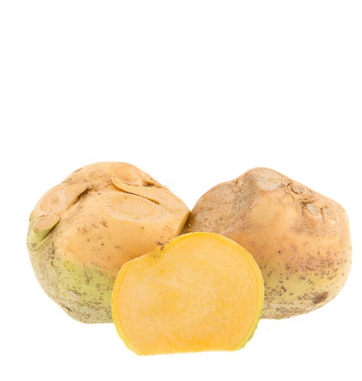 KOLERABA RUMENA (kg)