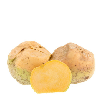 KOLERABA RUMENA (kg)